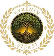 Evrenin Şifası