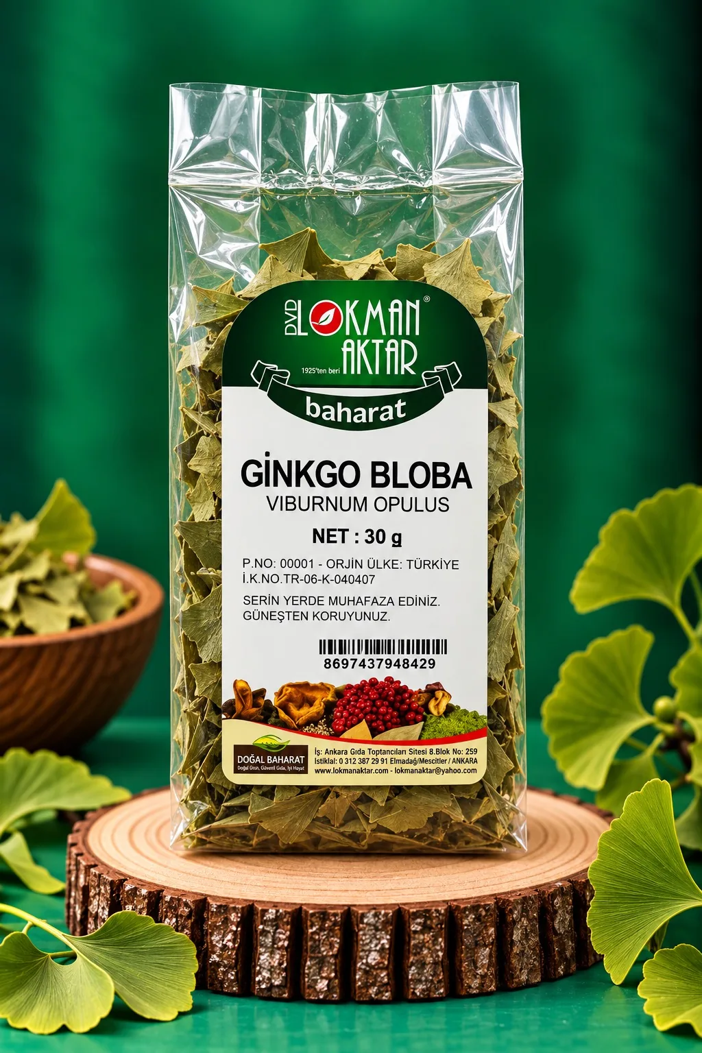 GİNKGO BİLOBA